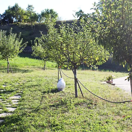 Ca' Nobili - Charming * Vetto