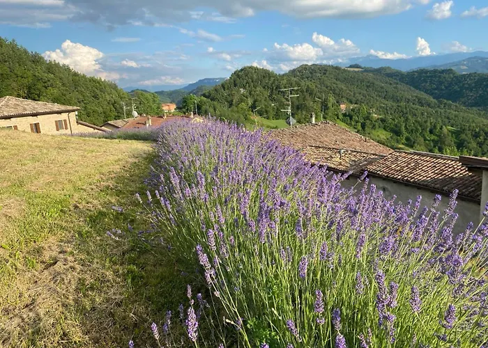 Ca' Nobili - Charming * Vetto